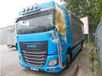 شاحنة نقل المواشي DAF XF 106 460