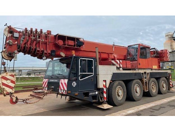 رافعة لجميع التضاريس Terex Demag AC 80-1: صورة 2